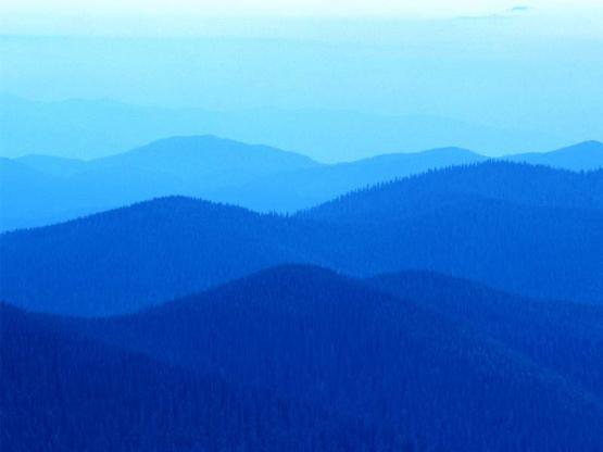Collines.jpg